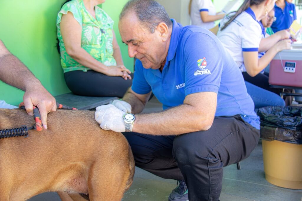 PETS – Dia D da Vacinação Antirrábica mobilizou tutores de cães e gatos em Livramento de Nossa Senhora