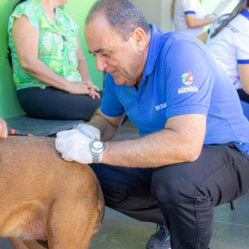 PETS – Dia D da Vacinação Antirrábica mobilizou tutores de cães e gatos em Livramento de Nossa Senhora