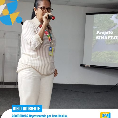 MUNICÍPIOS – Dom Basílio realizou curso para uso de sistema de controle de produtos florestais