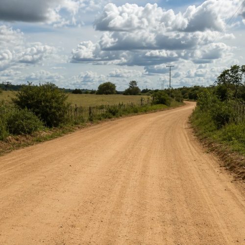 Governo da Bahia homologa licitação para pavimentação de 30,77 km da BA-569 em Livramento